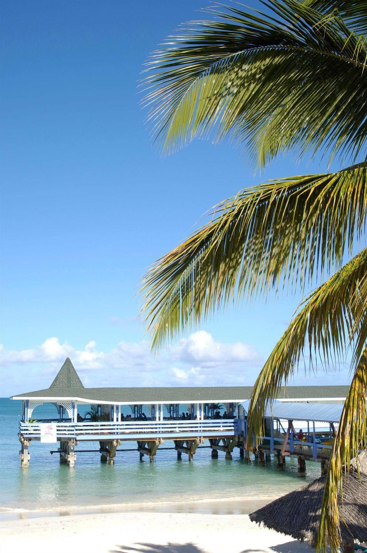 Starfish Halcyon Cove Hotel Dickenson Bay Exterior photo